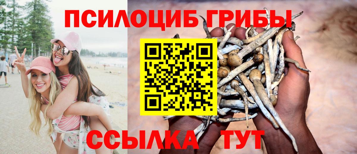 Псилоцибиновые грибы GOLDEN TEACHER  Псилоцибиновые грибы ЛСД  Вход с VPN  Лыткарино 